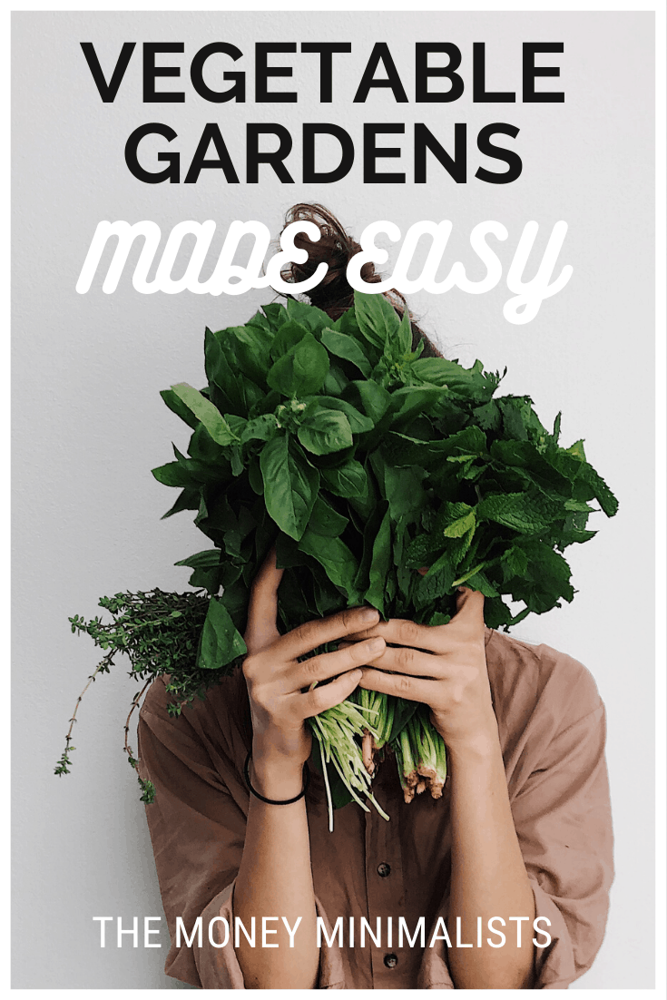 How To Start A Vegetable Garden On A Budget - The Money Minimalists